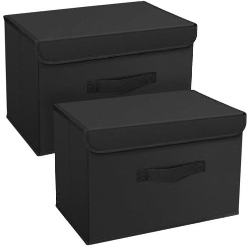 DIMJ 2 Pack Foldable Storage Boxes with Lids Collapsible Storage Bin with Handle Fabric Storage Basket Wardrobe Storage Organiser Box for Clothes, Toys, Books, Closet, Bedroom, Home (Black)
