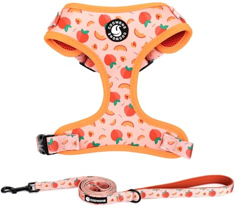 Dog Harness and Leash Set, Adjustable Dog Harness, Dog Leash, No Pull No Choke Puppy Harnesses for Walking Training for Small Medium Pet