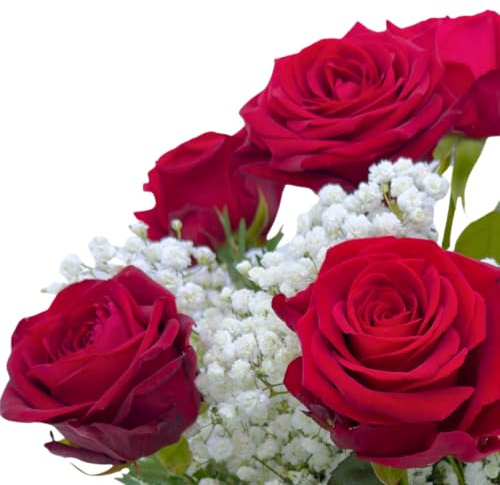 DECOALIVE – Ramo de Flores Naturales y Frescas | 6 Rosas Rojas con Paniculata
