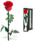 Naunauya Infinity Rose - Die ewige Rose, Unvergängliche Geschenke für Frauen, Konservierte Rose in Rosenbox, Haltbare Blume mit Ewigkeitsgarantie