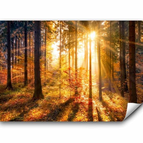 murando Fototapete Premium-Vlies Wald 3D 350x256cm Foto Tapete Schlafzimmer Wohnzimmer Vliestapete XXL Wandtapete Motivtapeten Bildtapete 3d Effekt Wand Dekoration Flur Landschaft Natur Grün Bäume