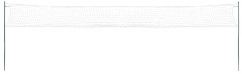Generico Set da Badminton con 4 Racchette e Rete 620x151 cm,Multicolore,1.1kg,4016331