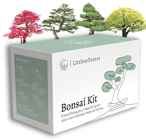 LittlestForest - Kit bonsai da coltivare completo - Tutto il necessario per coltivare le proprie bonsai pianta vera - Semi e strumenti per coltivazione - idee per regali originali