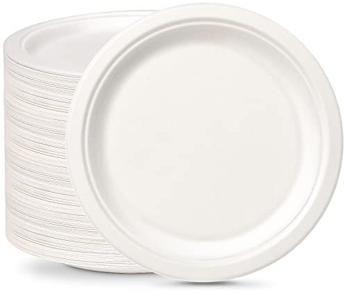 greensight Rigid Disposable Paper White Plates 100 Pack 10 inch - Eco-Friendly, Sugarcane Strong Plates 100% Biodegradable and Compostable Dishes for BBQ Party Picnic