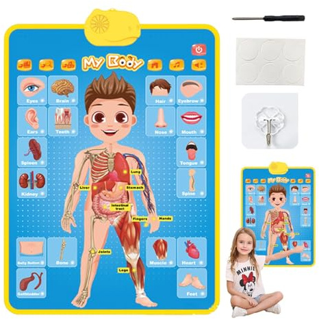 Grafico da parete elettronico con alfabeto, musica interattiva, display per imparare i bambini, lavagna educativa per abcss, discorso parlante, design colorato, poster per bambini 2 ai 4 anni in