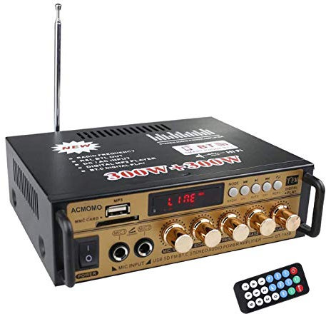 Amplificatore 600W, HiFi Audio Stereo BT Radio Portatile per Auto o Casa, con Telecomando ed Mini Display 2CH LCD, 12 V / 220 V (600W Gold)
