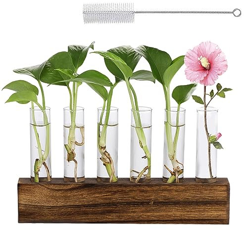 6 Tube Tabletop Glass Planter Propagation Station, Glass Test Tube Vase With Wooden Stand Hydroponic Plant Stand, Test Tube Plant Holder Mum Birthday Gifts Gardening Gifts For Women