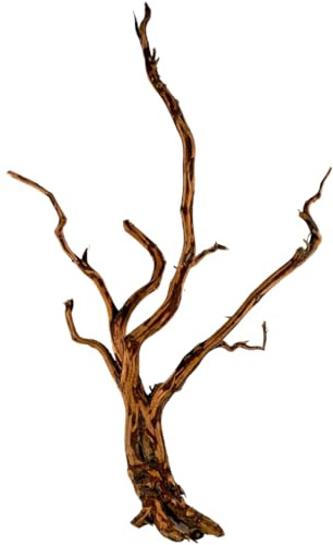 Natunae - Madera Red Spider King Wood, Raíz Decorativa para Acuario, Terrario, Paludario S 20-30 cm
