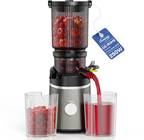 TPGSING Entsafter Slow Juicer mit 130mm Großer Einfüllschacht, 250W Geräuscharmer DC-Motor Elektrische Saftpresse, Entsafter Gemüse und Obst Testsieger für Ganze Gemüse und Obst Leichte mit 2 Tassen