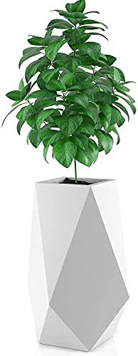 FORVEGA, Volcano, Pot Haut avec étagère, Design Moderne, Durable, résistant au Gel et aux UV, polyéthylène, Blanc, 80 cm