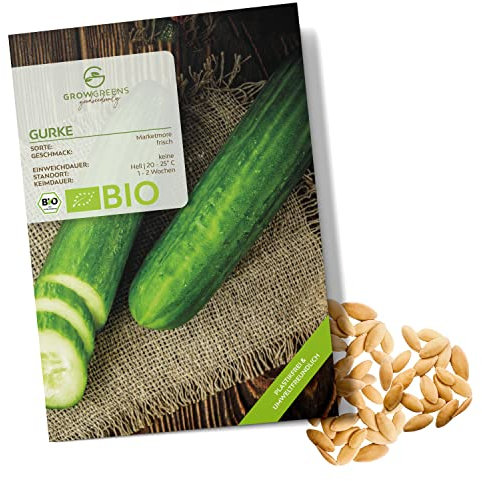 BIO Gurken Samen (Marketmore, 10 Korn) - Salatgurke Saatgut aus biologischem Anbau ideal für die Anzucht im Garten, Balkon oder Terrasse