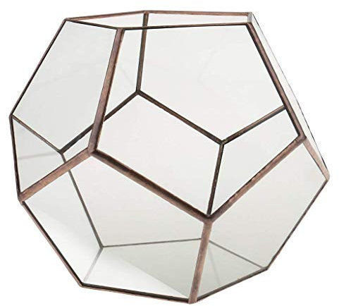 Lechuga, rúcula Roquete Semillas de Lechuga, orgánico, no modificados genéticamente, de 50 Semillas por Paquete