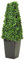 Metro Garden Floralcraft® Set of 2 Artificial Boxwood Topiary Pyramid Cone in Black Resin Pot 55cm (1.8ft) Tabletop or Floor Standing Tree