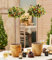 BALDUR Garten Stämmchen Ilex Golden King,1 Pflanze