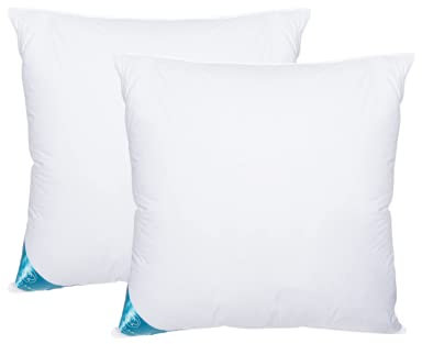 Sandaro Home Kopfkissen 80x80 2er Set | Federkissen 80 x 80 cm mit 100% natürliche Federfüllung, Federkopfkissen 80x80 Set mit Gänsefedernfüllung im Baumwollbezug, Öko-Tex Zertifiziert (1500)