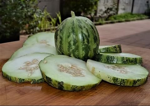 Semi di Cetriolo Pugliese Carosello Tondo di Manduria, Cucumis Adzhur, Confezione da 100 Semi