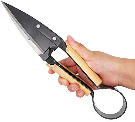 MUALROUS Ciseaux à topiaires Cisailles à laine Outils de jardin Herbe Fleurs Cisaille à haie, Chèvre Mouton Vache Cheval Cisaille à lapin Ciseaux de coupe de laine