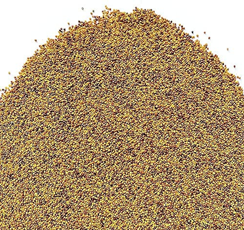 Il Contadino - Antiche Sementi | TRIFOGLIO BIANCO NANISSIMO con RHIZO | Tappeto con foglie molto piccole, Bassa manutenzione, Tagli poco frequenti, Abbastanza resistente all'ombreggiamento (250g)