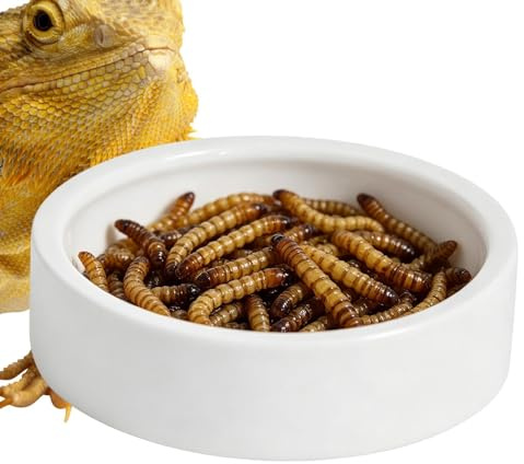 Agua para reptiles – Antifuga de cerámica | Alimento para cangrejos apto para geckos, tortugas de tierra, pequeños, lagartos y camaleones