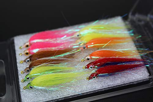 Tigofly Set di 12 esche da pesca a mosca, 6 colori brillanti, per salmone, trote, pesciolini, pesciolini, dimensioni #8 (assortiti)