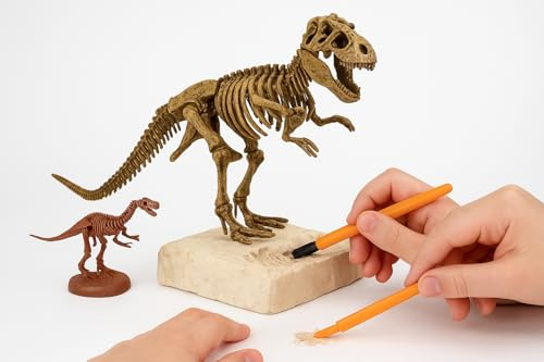 Copper Top Dinosaur Excavation STEM Kit for Kids | Dig & Build Fossil Discovery Set | Includes Dinosaur Skeleton, Digging Tools & Block | Educational Science Toy Gift (T-Rex – 13” / 25 pcs)