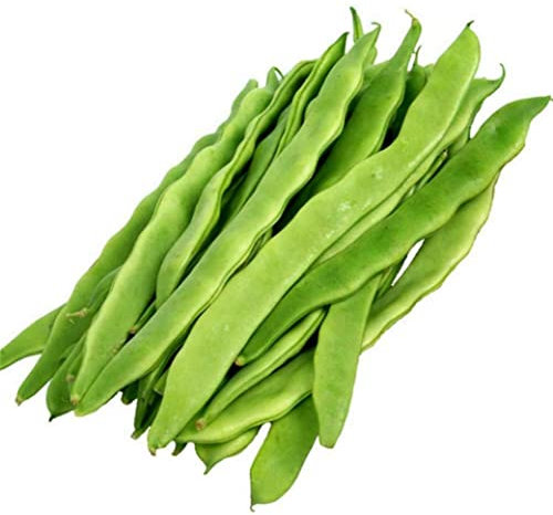 Germisem Helda Graines de Haricot à Rames 100 g