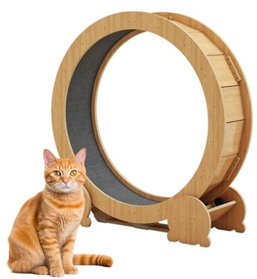 Versión Mejorada Rueda De Ejercicio para Gatos, Rueda Grande para Gatos, Rueda De Juego para Gatos, Cinta De Correr Silenciosa para Entrenamiento Diario(Small)