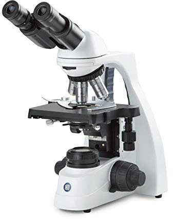Microscopio Binocular Euromex bScope 1152EPL 40-1000x