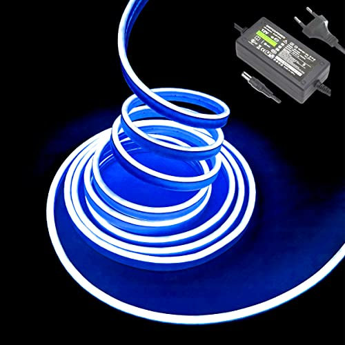 Balabaxer Blau Neon-LED-Streifenlichter, 16,4 Fuß/5 m 12 V DC 600 SMD2835 LEDs Wasserdichtes Lichtschlauch für Indoor Outdoor Home Decoration (mit Netzteil)