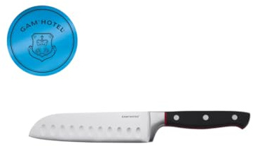 Gam'Hotel - Cuchillo Santoku 25,5cm hiro