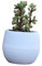 Milisten Macetas para Plantas De Interior Maceta De Interior Jardineras De Autorriego Macetas De Autorriego Jardineras para Plantas De Interior Maceteros Envase Familiar
