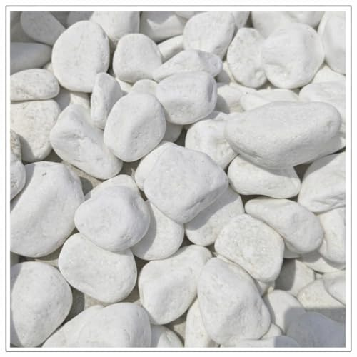 V-PREMIUM SOLUTION Galets blancs 5 kg - Pierres décoratives blanches neige pour décoration de jardin, chemins, pots de fleurs et intérieur - 6-10 cm - Thassos