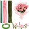Canollo Tulpe Blumenstrauß Pfeifenreiniger Set, 170 Stück Pfeifenreiniger Rosa für Tulpenstrauß Bastelprojekte, mit Pfeifenputzer zum basteln Blumen (2 Farben),16 Stück Grün Basteldraht, Klebeband