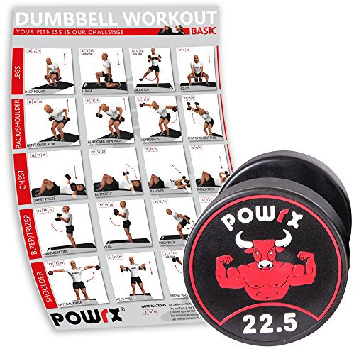POWRX Professionell Rundhantel Einzeln inkl. Workout I Gummi Kurzhantel Beschichtung GERUCHSNEUTRAL 5-30 kg I Verchromt und gerändelt I Studioqualität (22.5)