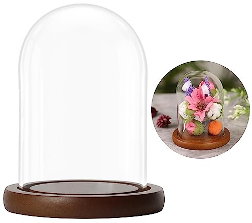 Belle Vous Glass Dome Cloche Bell Jar with Brown Wooden Base - 9.4cm / 3.7 Inches - Clear Decorative Tabletop Display Case with Tray for Fairy Lights, Centrepieces and Antiques