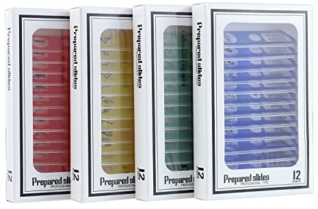 BOJACK 48 PCS Prepared Microscope Slides Set Animals Insects Plants Flowers Plastic Sample Specimens for Students Education