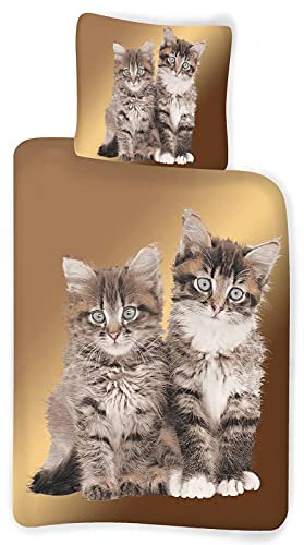 BrandMac Bettwäsche-Set mit Katzenbaby-Motiv 135x200 80x80 Bettzeug Bettware Katze Kitten Welpe, Beige
