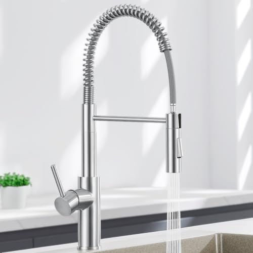 ANYCEE Robinet Cuisine Ressort Spirale avec 2 Jets, Arc Élevé Mitigeur Cuisine avec Douchette, Robinetterie Evier Douchette à Pivotante 360°, Mitigeur Extractible in Acier Inox