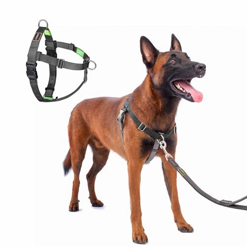 APDEXY No Pull Dog Harness Freedom Walking, Easy Walk with Front and Back Stainless D-Rings, Sewn-in Instructions Tags for Easy Use, for Medium/Large Dogs Weight 40-60 lbs (Black, Med/Large)