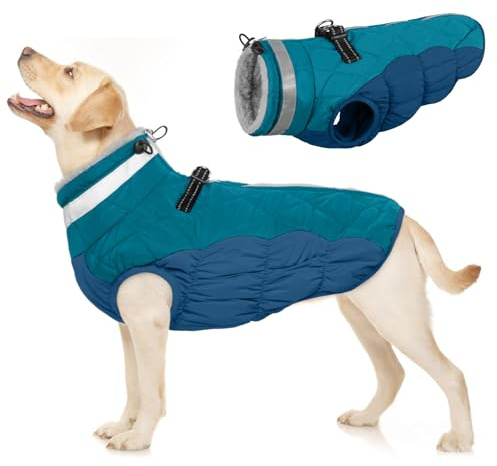 Cappottino Impermeabile Cani, Giacca Invernale Cani Calda Cappotti e Giubbotti per Cani Antivento Abbigliamento Invernale per Cani contro Freddo/Neve(Verde Scuro, L)