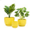 Nattol Yellow Ceramic Flower Pots with Saucers, Modern Round Ceramic Succulent Plant Pots with Honeycomb Inspired Texture Design, Small to Medium Sized, Set of 3