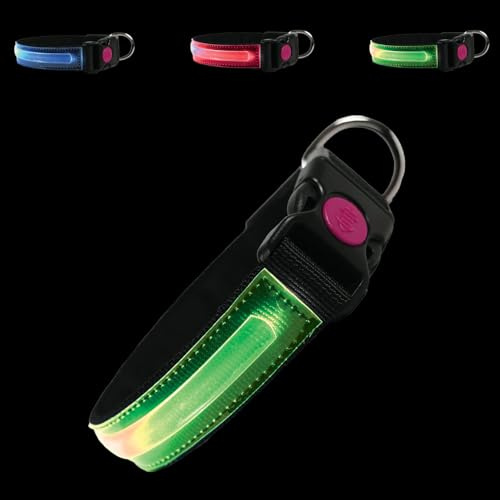 PETTY LED Hundhalsband - Opladdningsbar USB-halsband med spänne och säkerhetsknapp för små, medelstora och stora hundar (XS Grön)