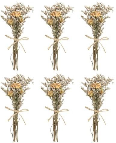 PATIKIL Mini Torkad Blombukett, 6 st Rosa Naturlig Vild Blomma Med Stam Dekoration Gisofila Boho Blomväxt för DIY Hantverk Present Bröllopsdekoration, Grädde