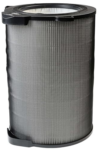 vhbw H12 Filter kompatibel mit AEG AX 91 600 CADR, AX91-604DG, AX91-604GY Luftreiniger - Ersatz-Filter