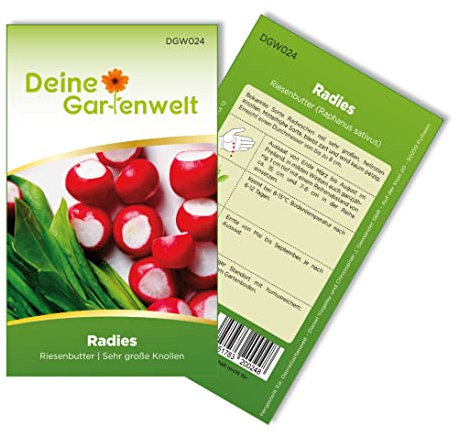 Radieschen Riesenbutter Samen - Raphanus sativus - Radieschensamen - Gemüsesamen - Saatgut für 250 Pflanzen