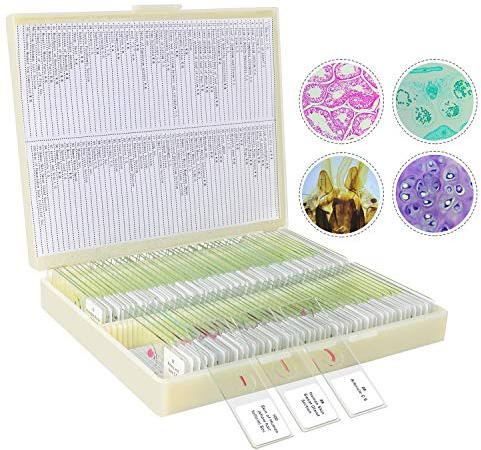100 Piezas Portaobjetos de Microscopio Preparados, Muestras de Biología Profesional Tejidos Humanos, Células, Plantas, Insectos para Niños Estudiantes Aprendizaje de Ciencias