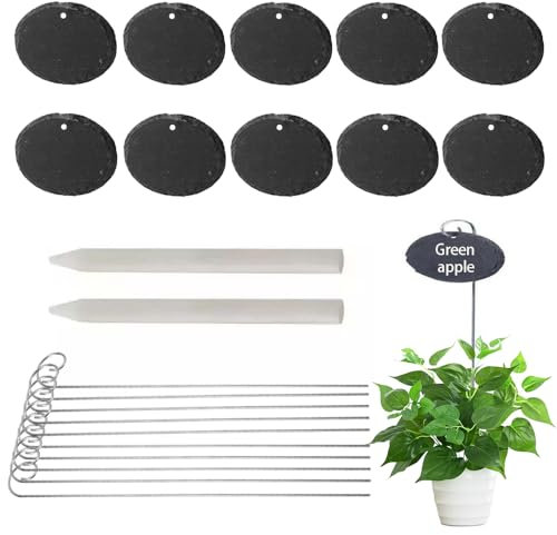 ANQIA Lot de 10 étiquettes ovales pour plantes en ardoise avec piquet en acier inoxydable et marqueur imperméables pour fleurs, herbes, plantes en pot, graines