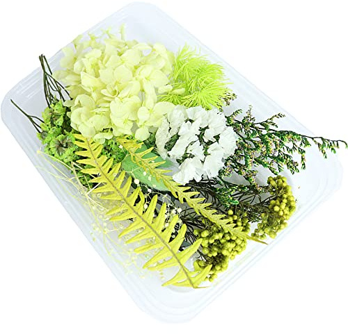 WEIWUXIAN Blomma Torkad Natur, 1 Låda torkade blommor, Blommig hantverk, blad kronblad blommor gjorda Hand, för Harts, Album Klippningar, DIY Ljus, Tillverkning Hantverk Hängsmycken