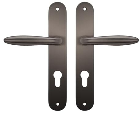Bricard 9840T1 Ensemble Poignées sur Plaque Esquisse Zamak couleur Titane pour Porte d'Entrée avec ressort de rappel