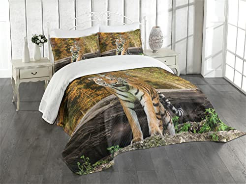 ABAKUHAUS Safari Tagesdecke Set, Asian Tiger in Wald, Set mit Kissenbezügen Waschbar, für Doppelbetten 220 x 220 cm, Bernstein Schwarz